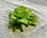 鉢植え栽培のミントで手軽にモヒート作り方2写真