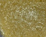 丸ごと使う♪旬の香りレモンケーキ🍋作り方6写真