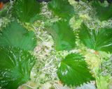 豚肉と野菜の青じそ蒸しサラダ作り方4写真