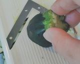 ズッキーニとえびのサラダ【腸活レシピ】作り方2写真
