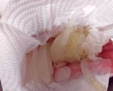 ホウレン草とツナのドレッシング和え作り方7写真