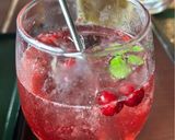 翠ジンで作る、青梅の梅酒作り方9写真