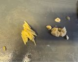 シャキッとパプリカの青椒肉絲作り方5写真