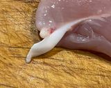 おうち居酒屋♯フライドササミ作り方2写真