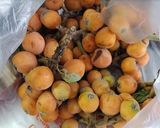 大量消費&保存に!びわのドライフルーツ作り方1写真