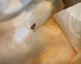 かなり簡単！時短で味浸みひき肉詰め煮作り方7写真