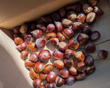 和えるだけ！黄色が鮮やか栗ご飯♡作り方1写真