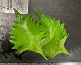 加熱工程不要5分！アボカドのハートサラダ作り方1写真