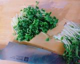 ＊サーモンとかいわれの中華風サラダ＊作り方2写真