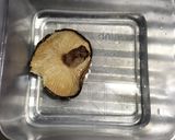 アリサの本気🐰アジのちらし寿司🐟️作り方9写真
