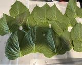大葉or胡麻の葉醤油漬け作り方3写真