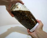小麦不使用の醬油の作り方作り方2写真