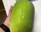 冬瓜と手羽元の炊いたの作り方1写真