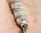 豚バラと大葉のえび巻き焼き作り方4写真