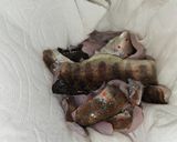 川魚の節約とろ〜りピリ辛中華あん作り方1写真