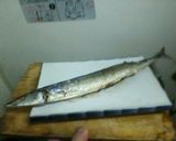 復活のサンマ！のレンチン骨せんべい作り方1写真