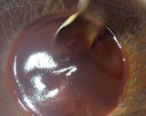 豚ひき肉と豆腐でヘルシー⭐︎ふかふかお好み焼き作り方6写真