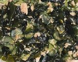 ワカメとツナの酢の物作り方6写真