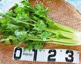 鍋つゆを使って たたきセロリの浅漬け♪作り方1写真