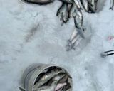 ニシンの白子のバターソテー作り方1写真