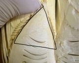 八百屋さん直伝🧑🌾筍の灰汁抜き作り方3写真