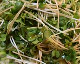 夏バテ解消‼️カツオのタタキの乗っけ盛り(高知風)作り方16写真