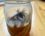 鰯の塩辛（仕込中！）作り方3写真