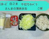 簡単10分さんまの蒲焼き丼作り方1写真