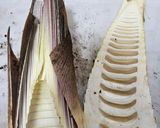 生産者さんに聞いた！秒で筍の皮剥き作り方5写真