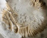 簡単　メンチカツ蕎麦作り方1写真
