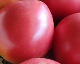 完熟トマトのラタトゥイユ作り方8写真