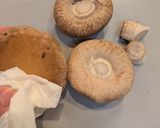 焼ききのこと鶏肉のスープ〜バルサミコ仕立て〜作り方2写真