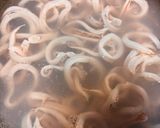 デパ地下風・イカのマリネサラダ作り方3写真
