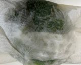 せいろで作るレタス巻き作り方3写真