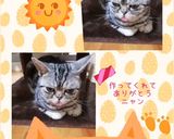 ♢♧かんたん赤しそジュース♧♢リンゴ酢入作り方19写真