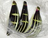 うちの味☆なす1本❣扇なす❤️オイコチュ味作り方23写真