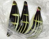 うちの味☆なす1本❣扇なす❤️オイコチュ味作り方23写真