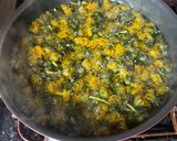 タンポポの花で作る蜂蜜みたいなシロップ作り方3写真