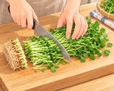 豚肉と豆苗・厚揚げのピリ辛ポン酢炒め作り方2写真