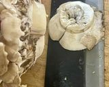 ワンパン 白菜と豚こまのすき焼き風煮物作り方5写真