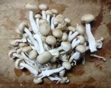 簡単オクラと レタス えのきの 白だしスープ♪作り方1写真