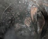 【ふっくら】我が家の時間任せの簡単黒豆煮作り方13写真