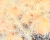 簡単味ポンで鶏もも肉の唐揚げ作り方4写真