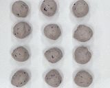 ブルーベリーのクリームチーズパン作り方4写真