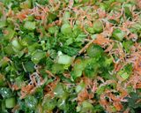 生命力を感じる大根の葉を食べるふりかけ作り方3写真