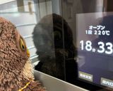 スウェーデン風🇸🇪ハッセルバックポテト🥔作り方7写真