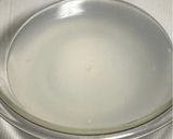 コスパ◎節約レシピ･鶏ハムの冷製パスタ作り方12写真