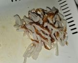 シャキシャキ大根とカニカマのごま風味サラダ作り方3写真