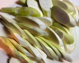 夕食おつまみ★豚こまマコモダケしめじのピリ辛炒め作り方1写真