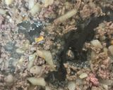 やみつき確定！我が家の大満足タコライス😋作り方5写真